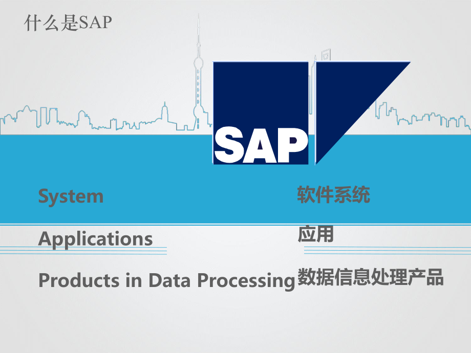 SAP财务部分培训演讲PPT